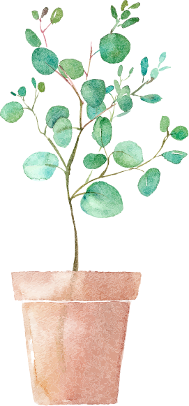 植物のイラスト