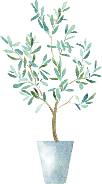 観葉植物