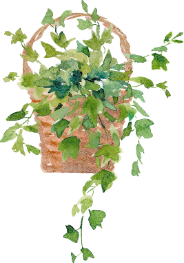 観葉植物のイラスト